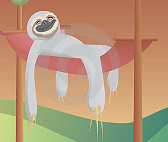lazy-sloth-14384269