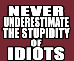 stupid_idiots_banner