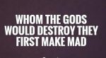 whom-the-gods-would-destroy-they-first-make-mad-quote-1